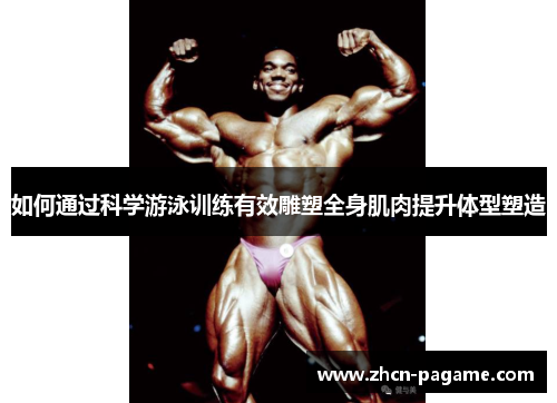 如何通过科学游泳训练有效雕塑全身肌肉提升体型塑造