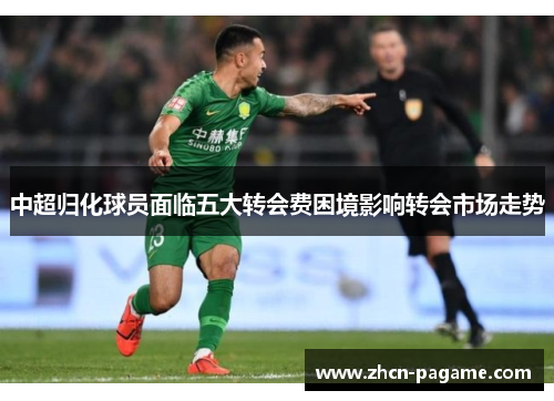 中超归化球员面临五大转会费困境影响转会市场走势