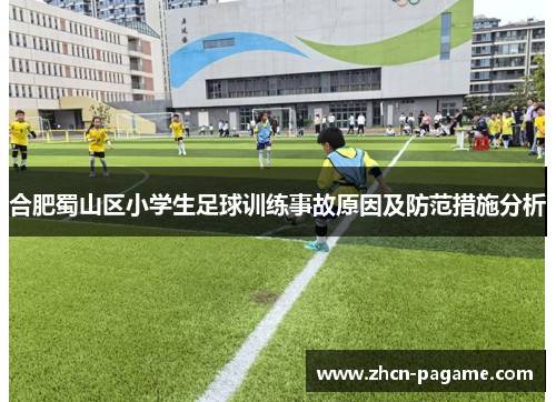 合肥蜀山区小学生足球训练事故原因及防范措施分析