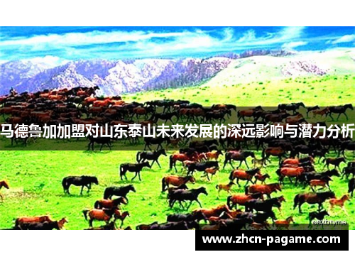 马德鲁加加盟对山东泰山未来发展的深远影响与潜力分析