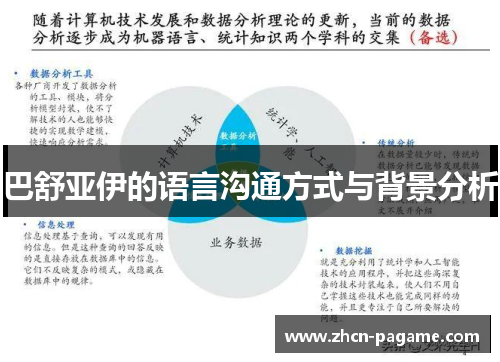 巴舒亚伊的语言沟通方式与背景分析