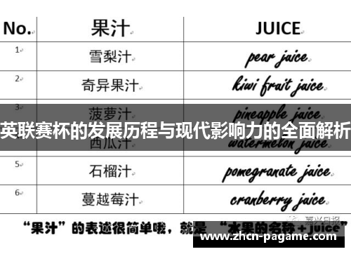 英联赛杯的发展历程与现代影响力的全面解析