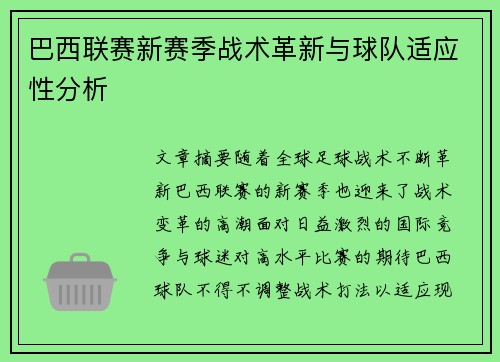 巴西联赛新赛季战术革新与球队适应性分析