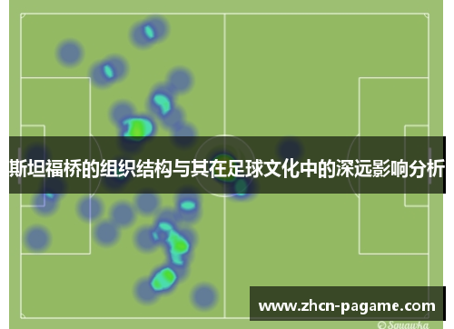 斯坦福桥的组织结构与其在足球文化中的深远影响分析